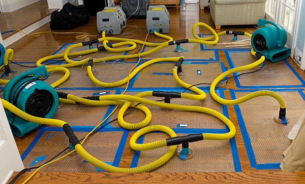 Professional Crawl Space Water Removal technician working in Maynard, MA